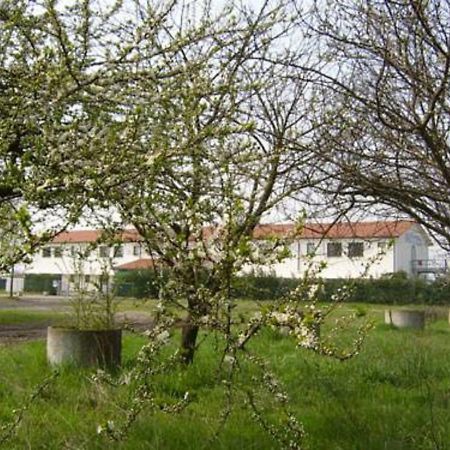 Hotel Lory Ficarolo Dış mekan fotoğraf