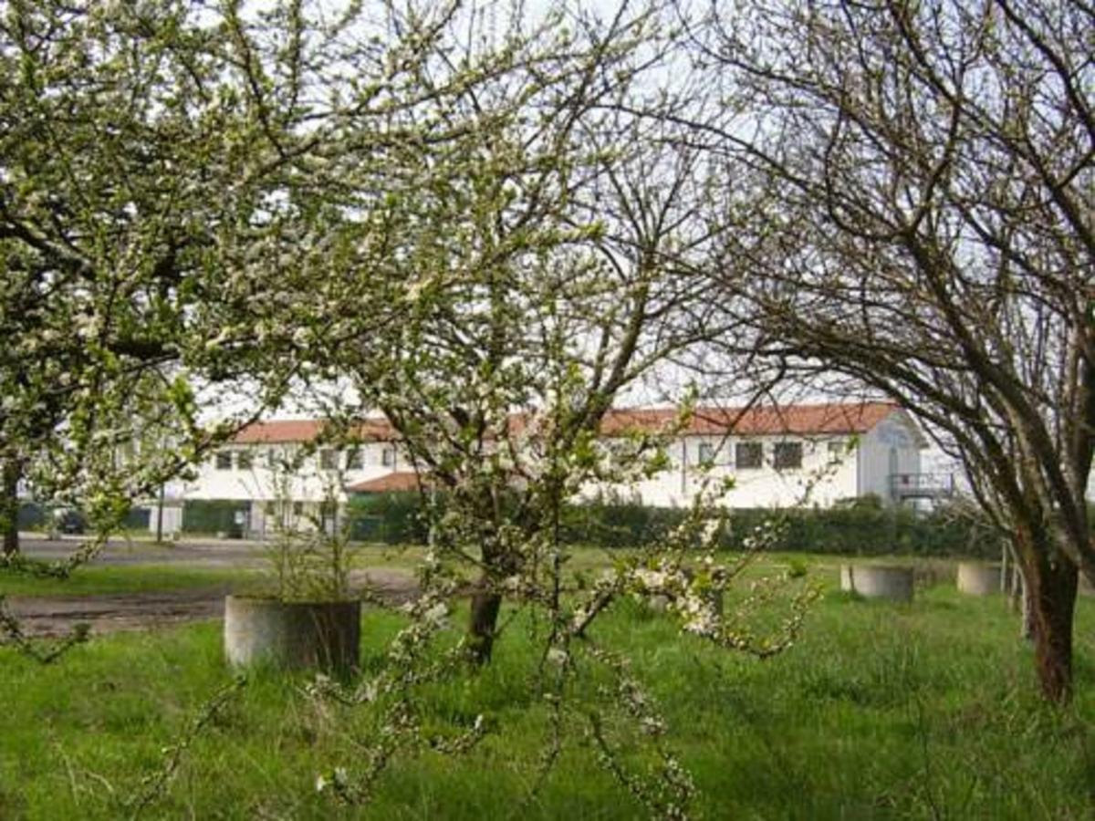 Hotel Lory Ficarolo Dış mekan fotoğraf